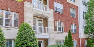 Emerson at Cherry Lane Gallery 9