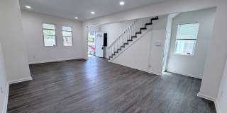 907 Rugby Street Gallery 6