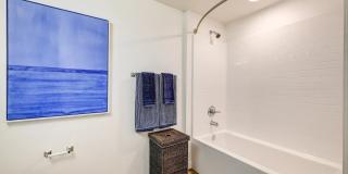 Castile Apartments Gallery 32