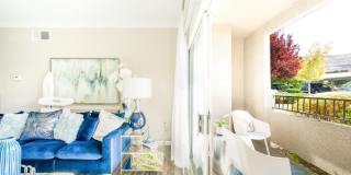 Canyon Vista Gallery 18