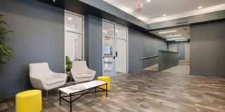 Netherland Gallery 29