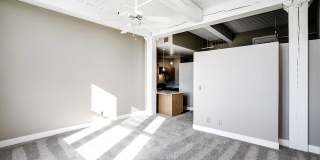 Greenhouse Gallery 42