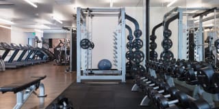 Avalon Dogpatch Gallery 31