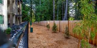 2 Bedroom 1 Bath 957 sq ft Gallery 187