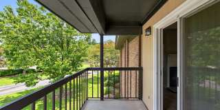 North Bluff Gallery 29