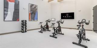 Hazel Southpark Gallery 44