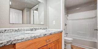 Updated 2 Bed 1 Bath in Fairwood Near Safeway Gallery 10