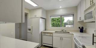 3338 Punta Alta Gallery 6