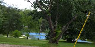 246 Montford Ave Gallery 25