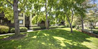 Completely Remodeled 2 Bed, 2 Bath Condo in Desirable Greenhouse Complex! Gallery 1