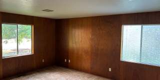 Country Environment in Town Gallery 4