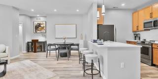 Renaissance Plaza Square Gallery 1