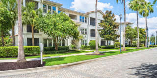 Citra at Windermere Gallery 47