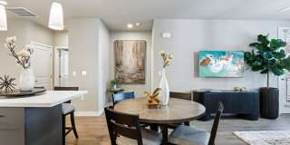 Zinc 1501 Apartments Gallery 29