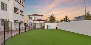 Arista at Ocotillo by Mark-Taylor Gallery 7