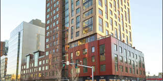 The Harlo Gallery 44