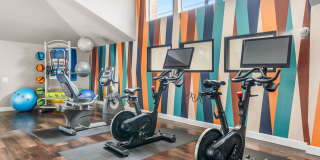 Fountain Palms Gallery 18