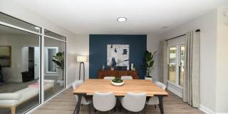 Vetra Asheville Gallery 17