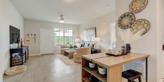 Authentix Greeley Gallery 15