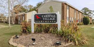 Cardinal Village Gallery 40