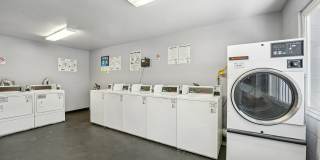 Spring Ridge on Fletcher Apartments Gallery 14