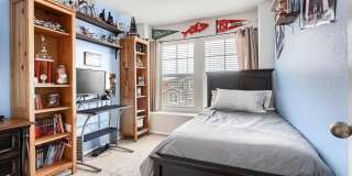 Highlands Ranch Spacious 3 bed 2.5 bath Gallery 35