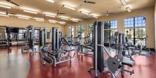 The Royce 8100 The Royce 8100 Gallery 9