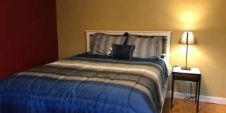 Furnished Move-In Ready Downtown 1br/1ba Apartment on the 5th floor with a Balcony Gallery 3