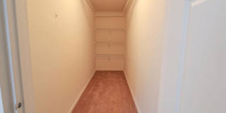 RVP Gallery 113