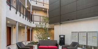 The Harrington Gallery 6