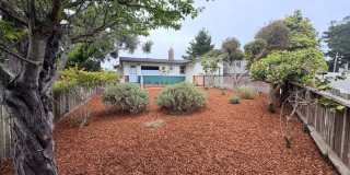 922 Maple Street Gallery 4
