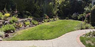 39 Orinda View Gallery 6
