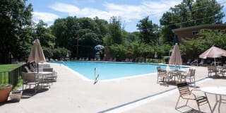 Glenmont Forest Gallery 27