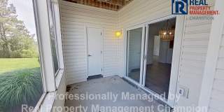 Beautifully Updated 2 BD/2 BA with Screened Porch & Modern Finishes Gallery 7