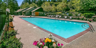 North Creek Heights Gallery 14