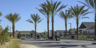 Village of Chandler Gallery 9