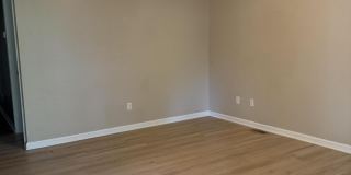 297 Young Street Gallery 1