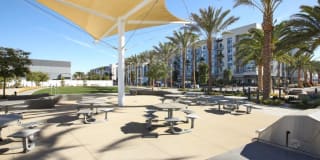 One Uptown Newport Gallery 8