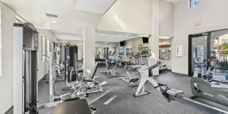 Dobson 2222 Gallery 17