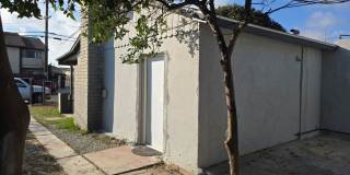 Sycamore Rd Gallery 15