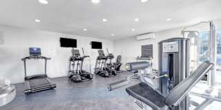 The Maxwell The Maxwell Gallery 13