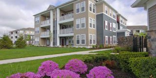 Avalon Westbury Gallery 39