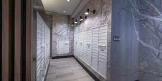 Luminary at One Light Gallery 25