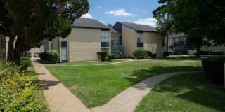 Buena Vista Gallery 2