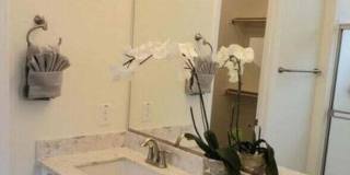 1912 E Rosemary Drive Gallery 10