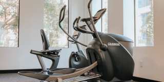 The Argyle Gallery 3