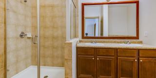 The Village at Lake Lily Gallery 82