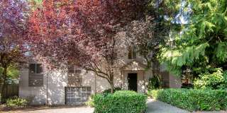 Cedar Park 8 Gallery 15