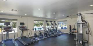 Vista Waterleaf Apartments Gallery 49