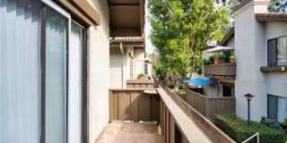 22729 Lakeway Drive Gallery 9